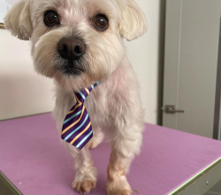 Friday with tie