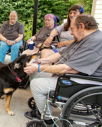 black dog with man in wheelchair