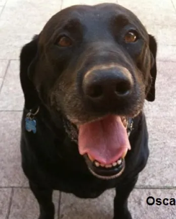 Oscar