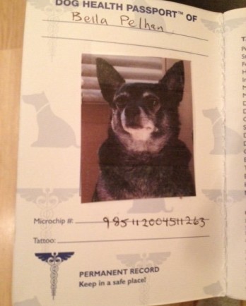 Bella's passport for her trip to the UK.