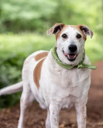 Kirby John Harbor Humane