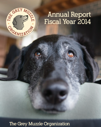 Cover of 2014 Annual Fiscal Year Report