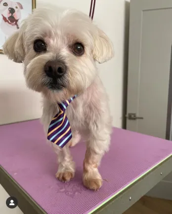 Friday with tie