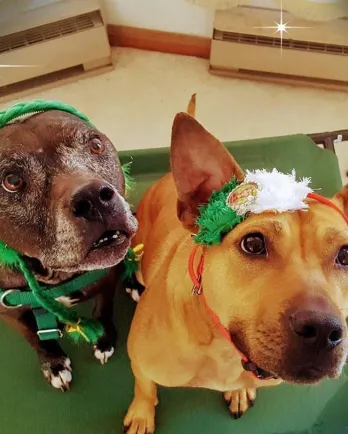 Gramma Tala and dog friend Mia