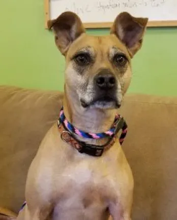 Kara's big ears