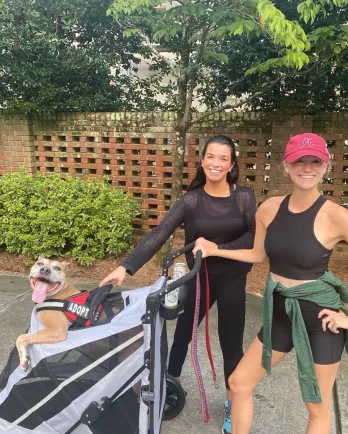 Milo in stroller
