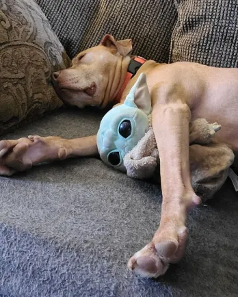 Paris with Baby Yoda