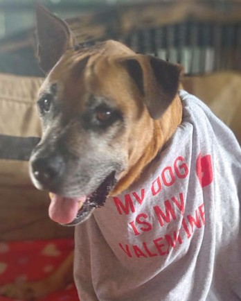 Rolo with a Valentine shirt