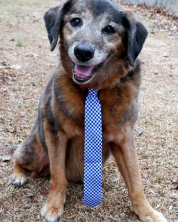 Senior wearing a blue tie