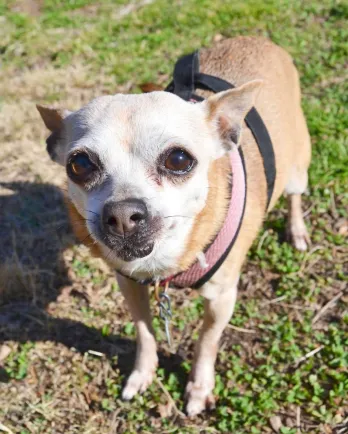 Close up of Veruca