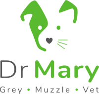 Dr Mary Logo Stacked