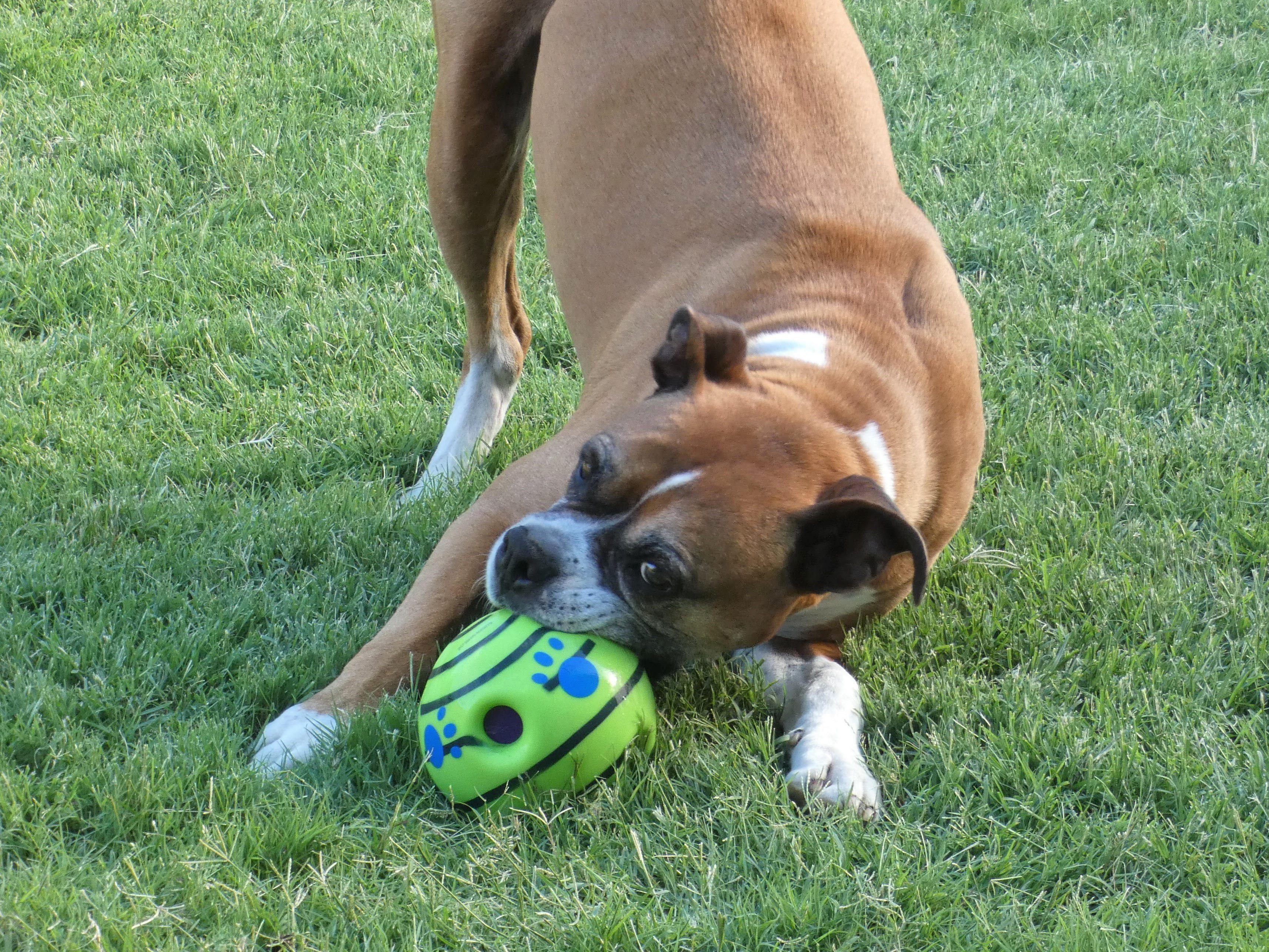 Tribianni outside with ball Tribianni outside with ball