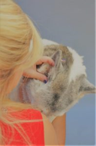 Looking At Ear