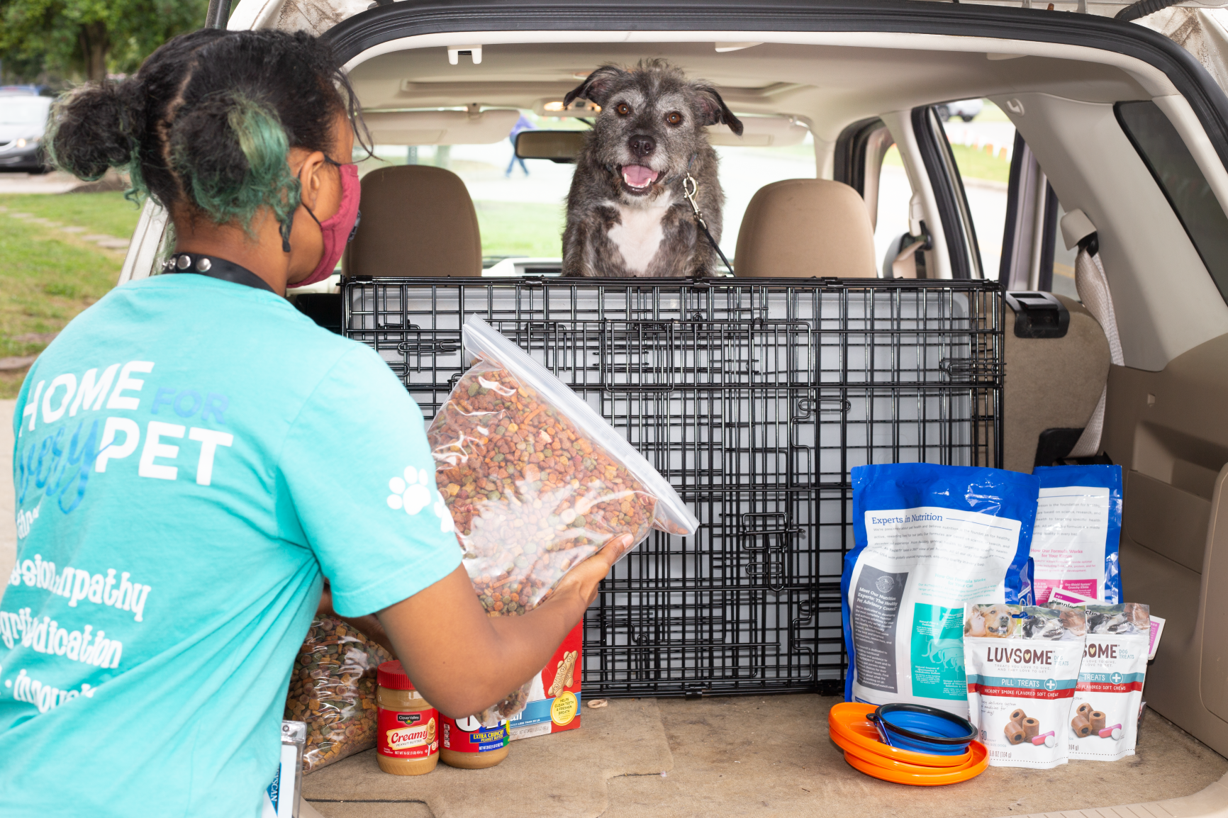 Supplies for Smokey Dog in car